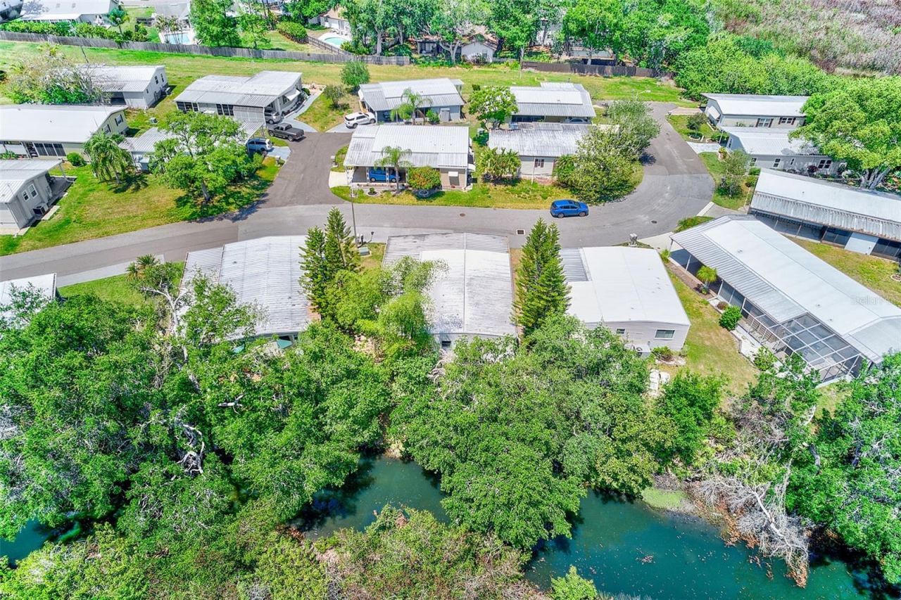 94 Sugar Bear Drive, Unit 55, Safety Harbor, FL 34695 Photo