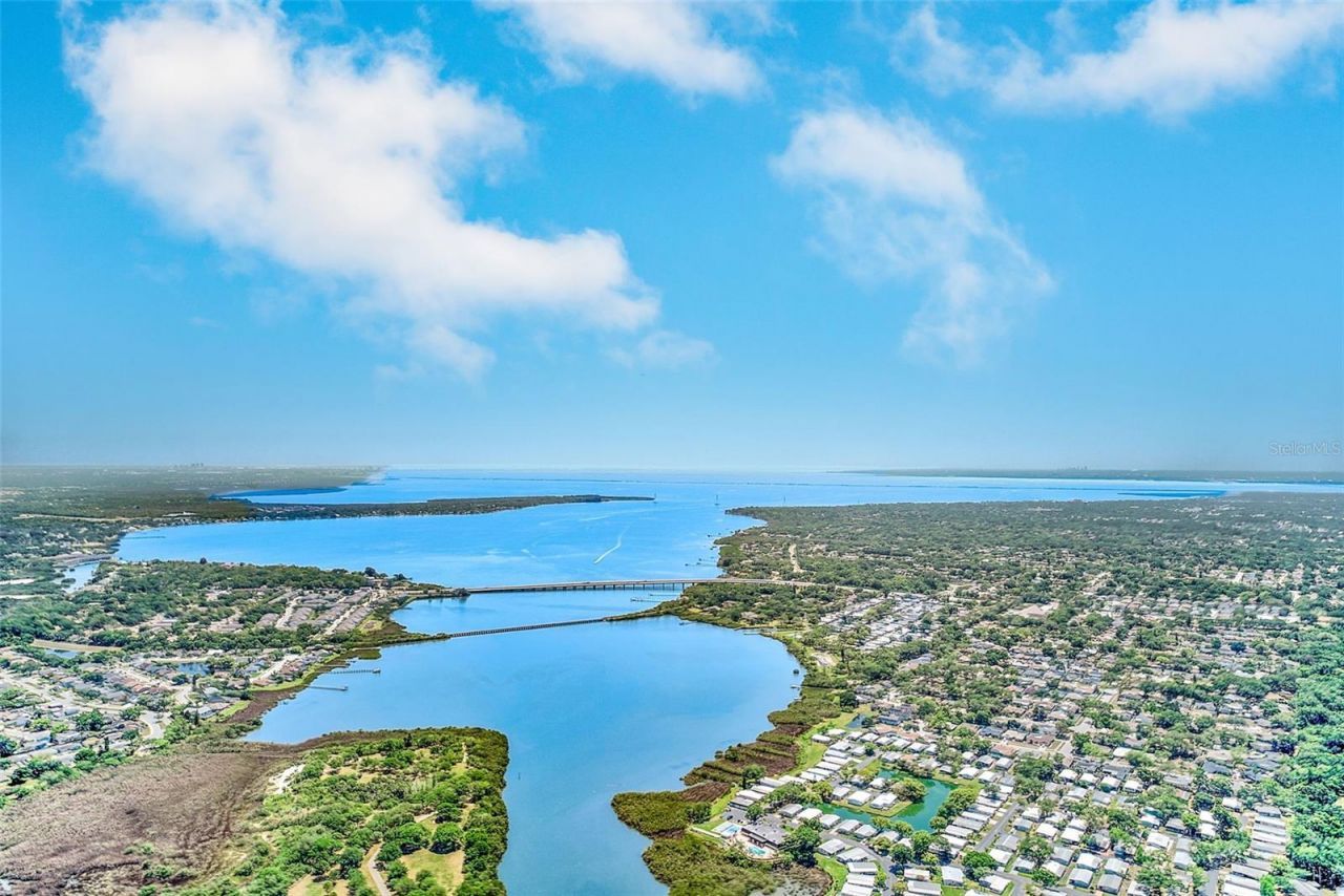94 Sugar Bear Drive, Unit 55, Safety Harbor, FL 34695 Photo