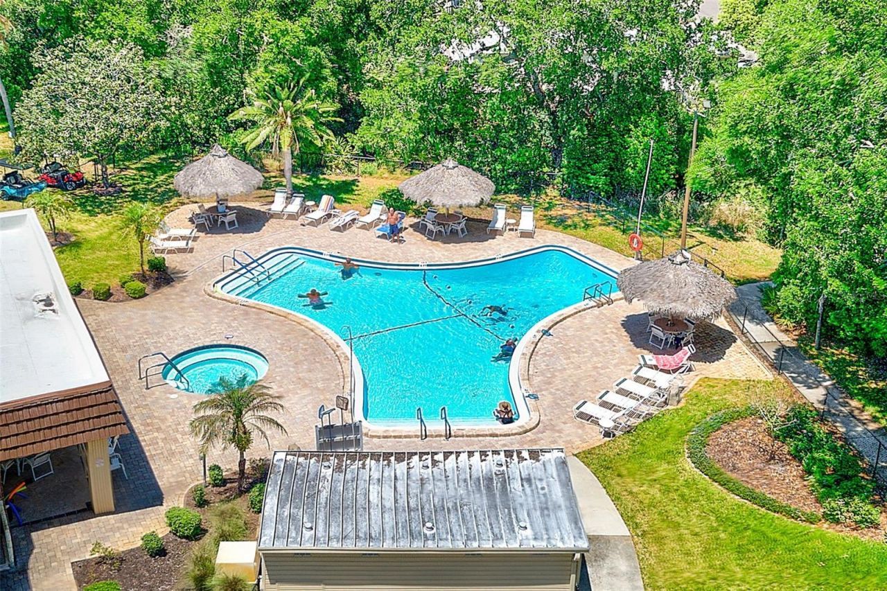 94 Sugar Bear Drive, Unit 55, Safety Harbor, FL 34695 Photo