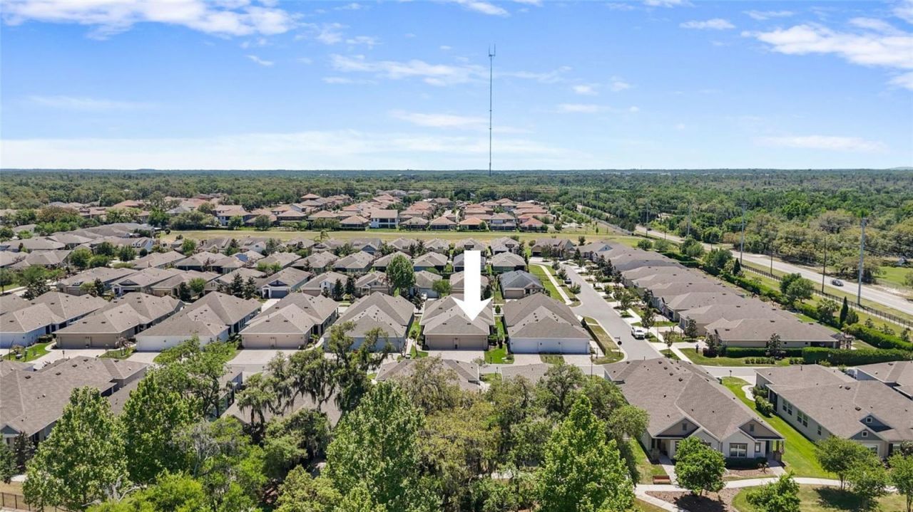 13890 Kingfisher Glen Drive , Lithia, FL 33547 Photo