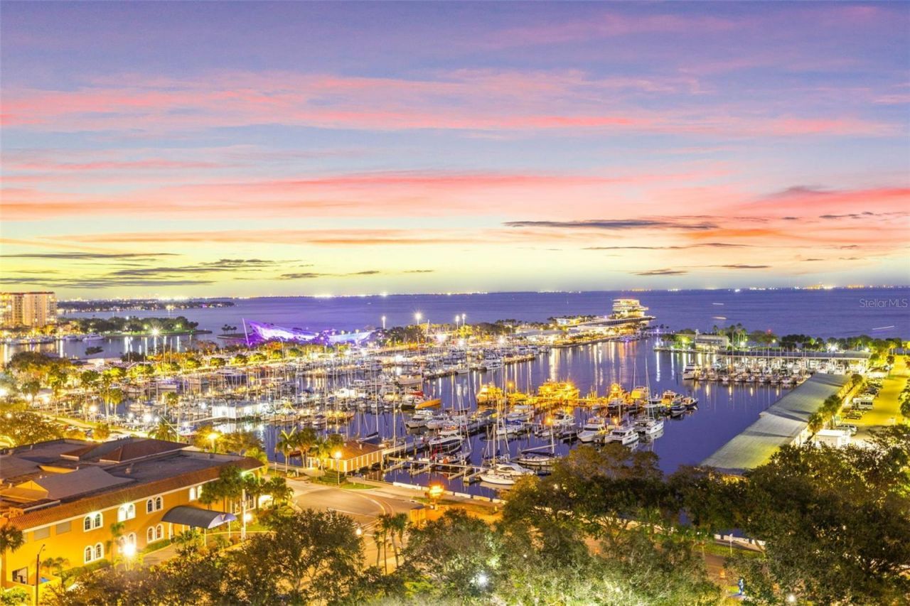 316 89th Avenue Ne, Saint Petersburg, FL 33702 Photo