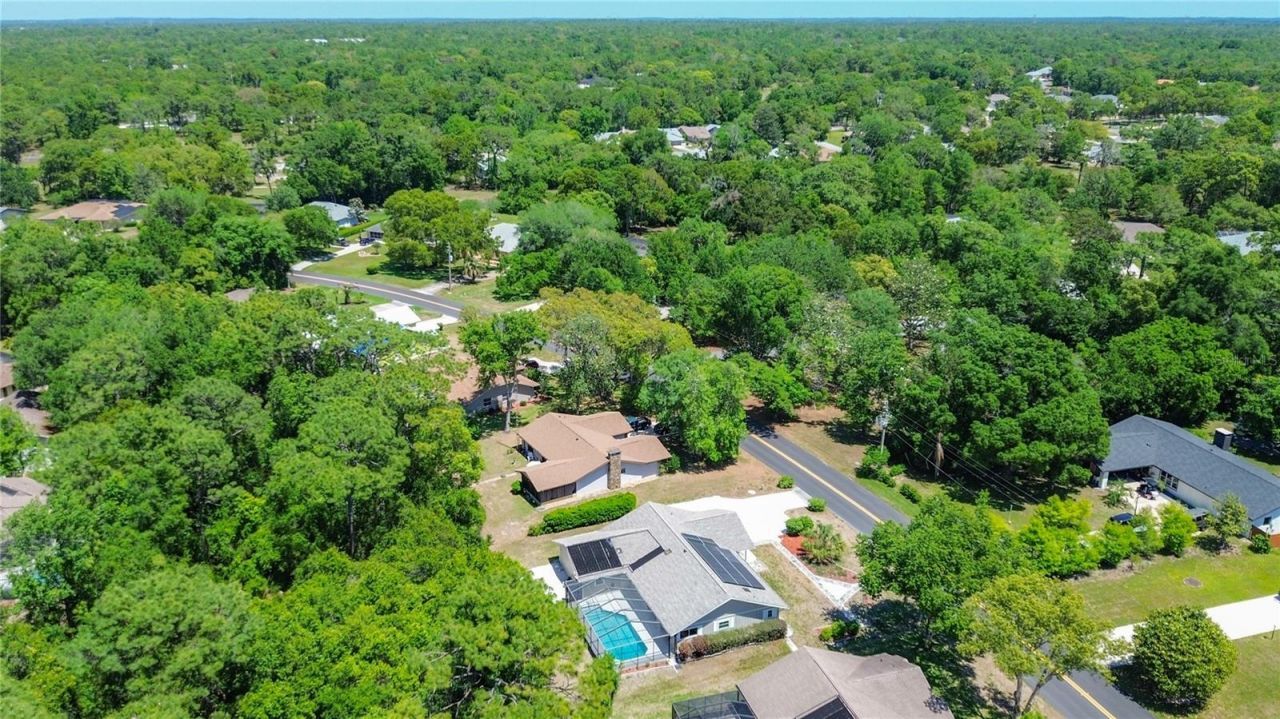 39 Pine Street , Homosassa, FL 34446 Photo