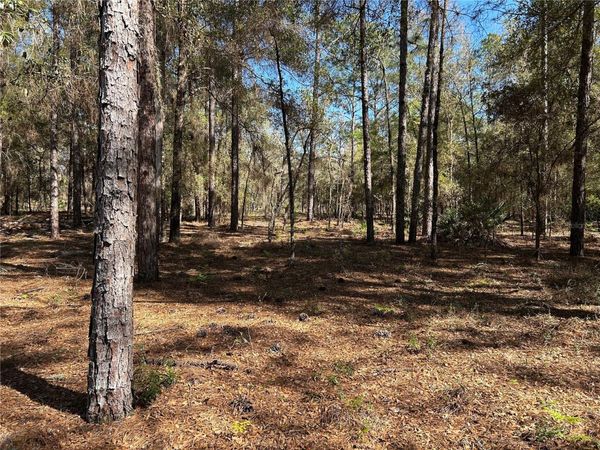 Lot 23 SW 181ST CIR , DUNNELLON, FL 34432