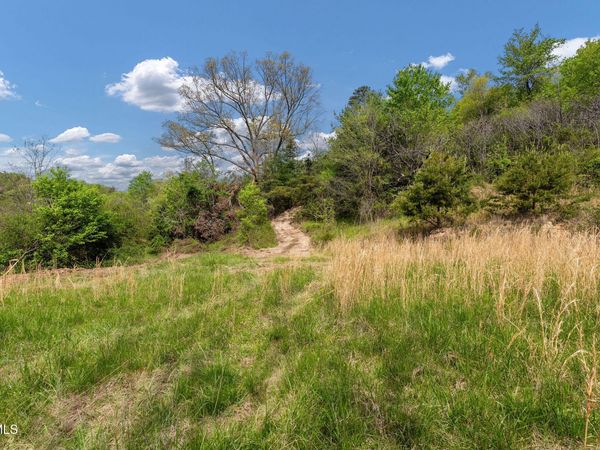 Tbd Lacy Hollow Road, Elizabethton, TN 37643
