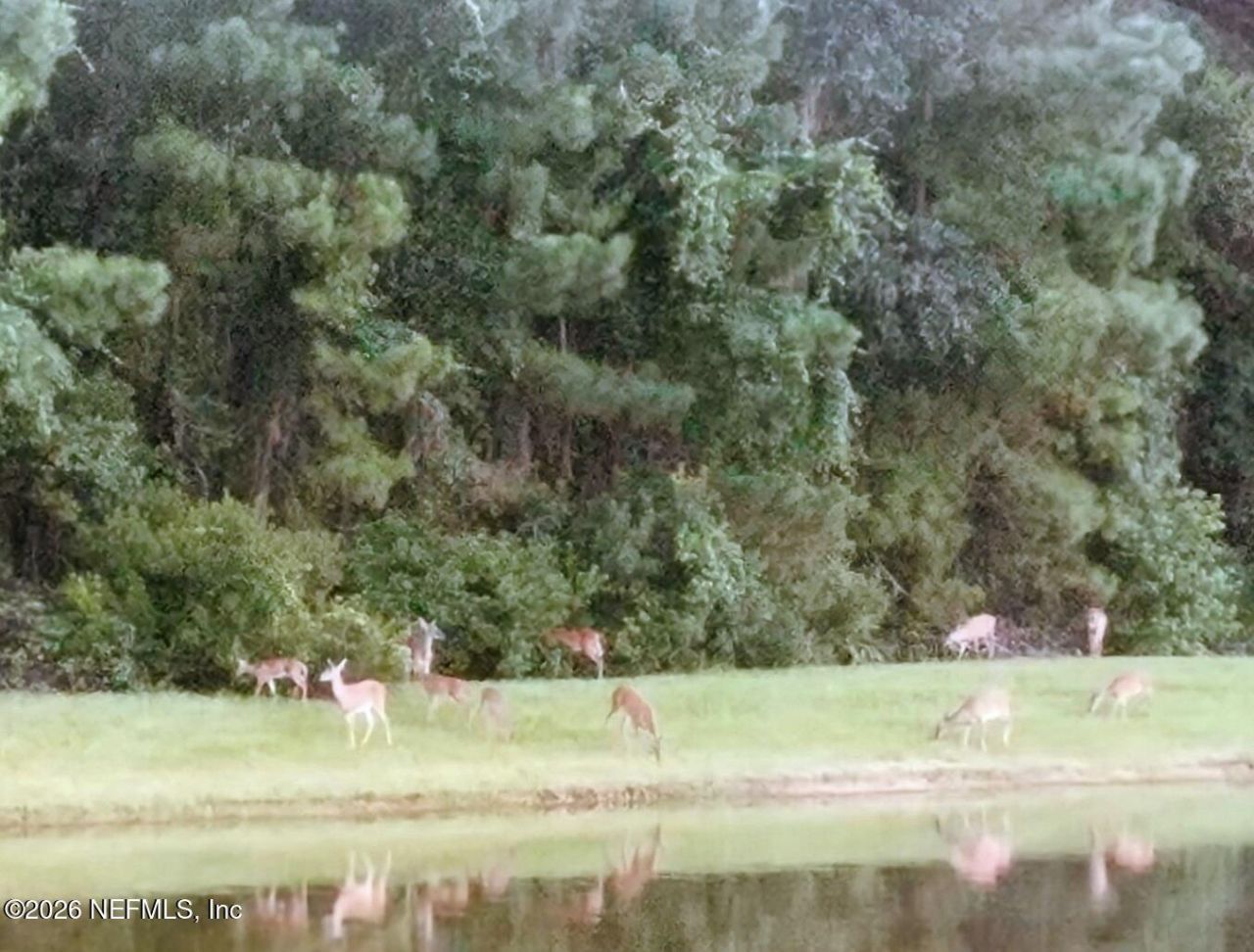 821 W Cumberland Court, Saint Johns, FL 32259 Photo