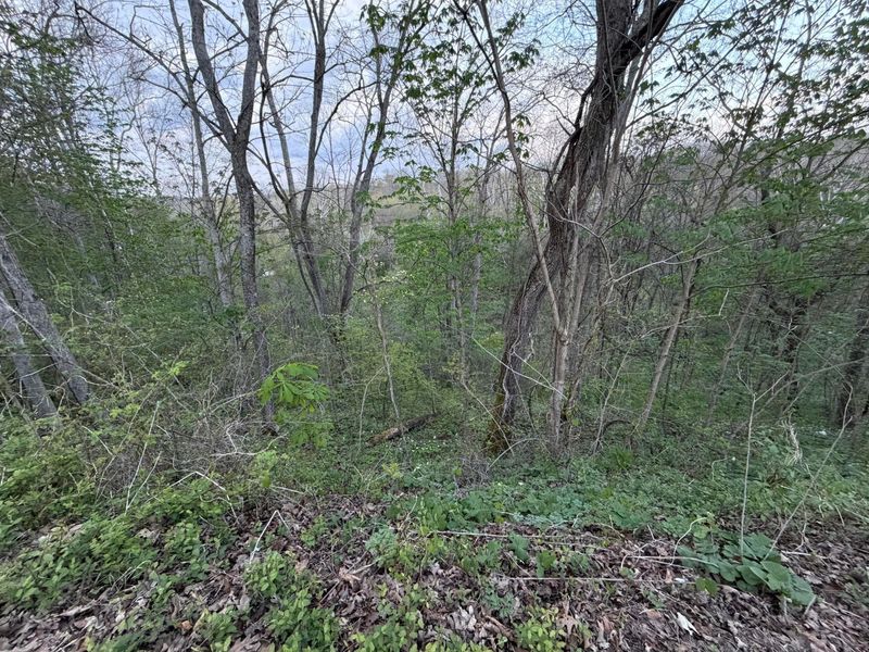 0 Oakdale Road , Glouster, OH 45732 Photo 17