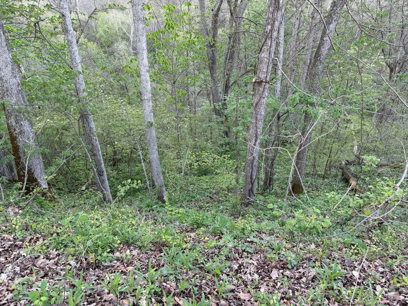 0 Oakdale Road , Glouster, OH 45732 Photo 18