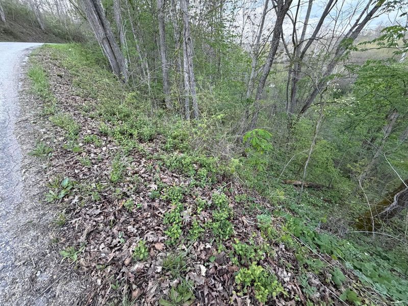 0 Oakdale Road , Glouster, OH 45732 Photo 19