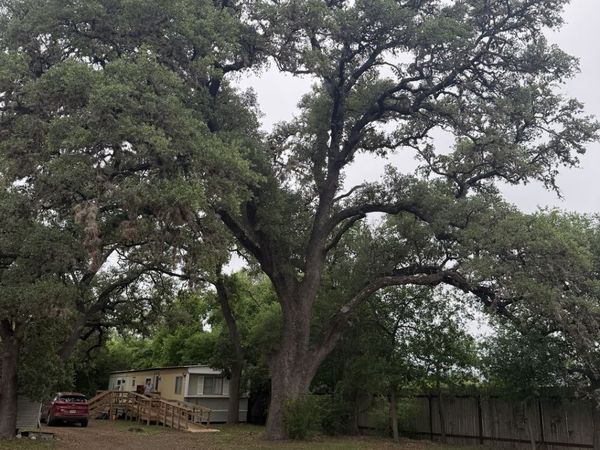 6197 Ranch Road 1120, Leakey, TX 78873