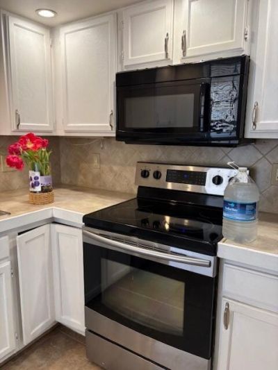 300 Palmwood Place, Unit 101, Boca Raton, FL 33431 Photo