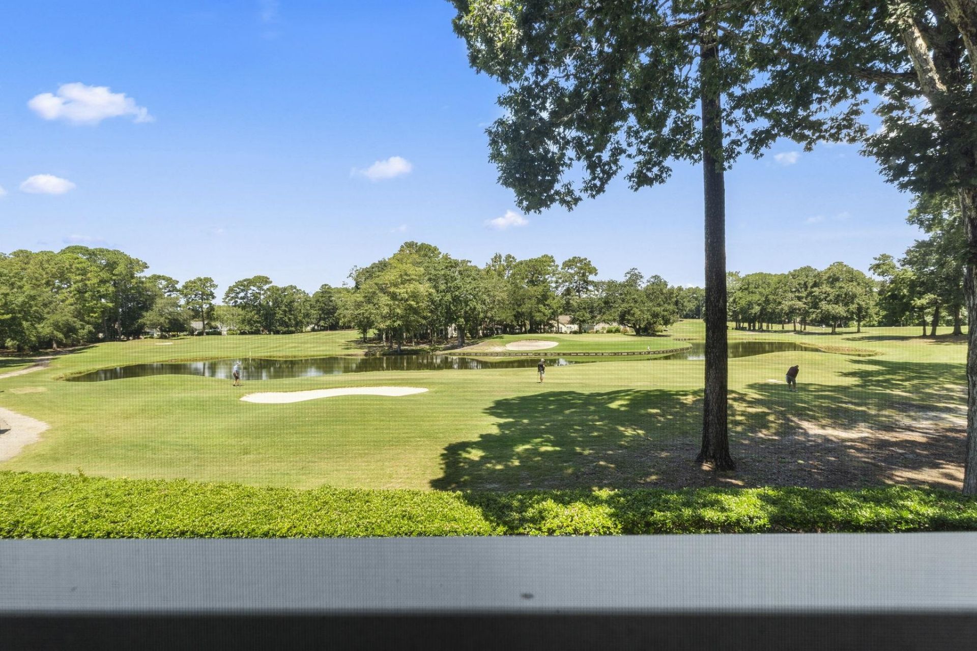 4429 Turtle Ln.  Photo 34