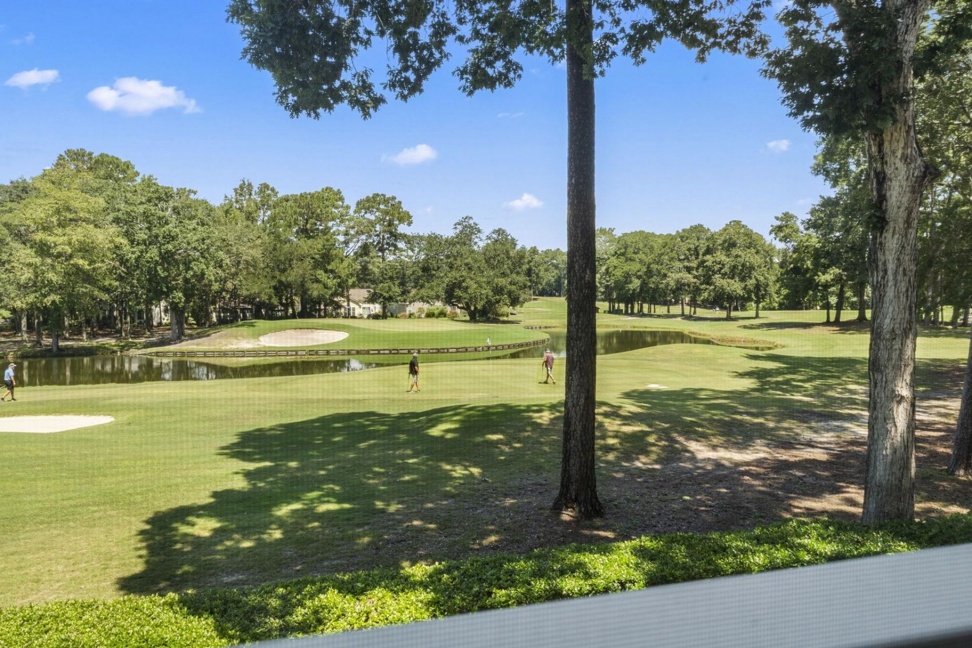 4429 Turtle Ln.  Photo 35