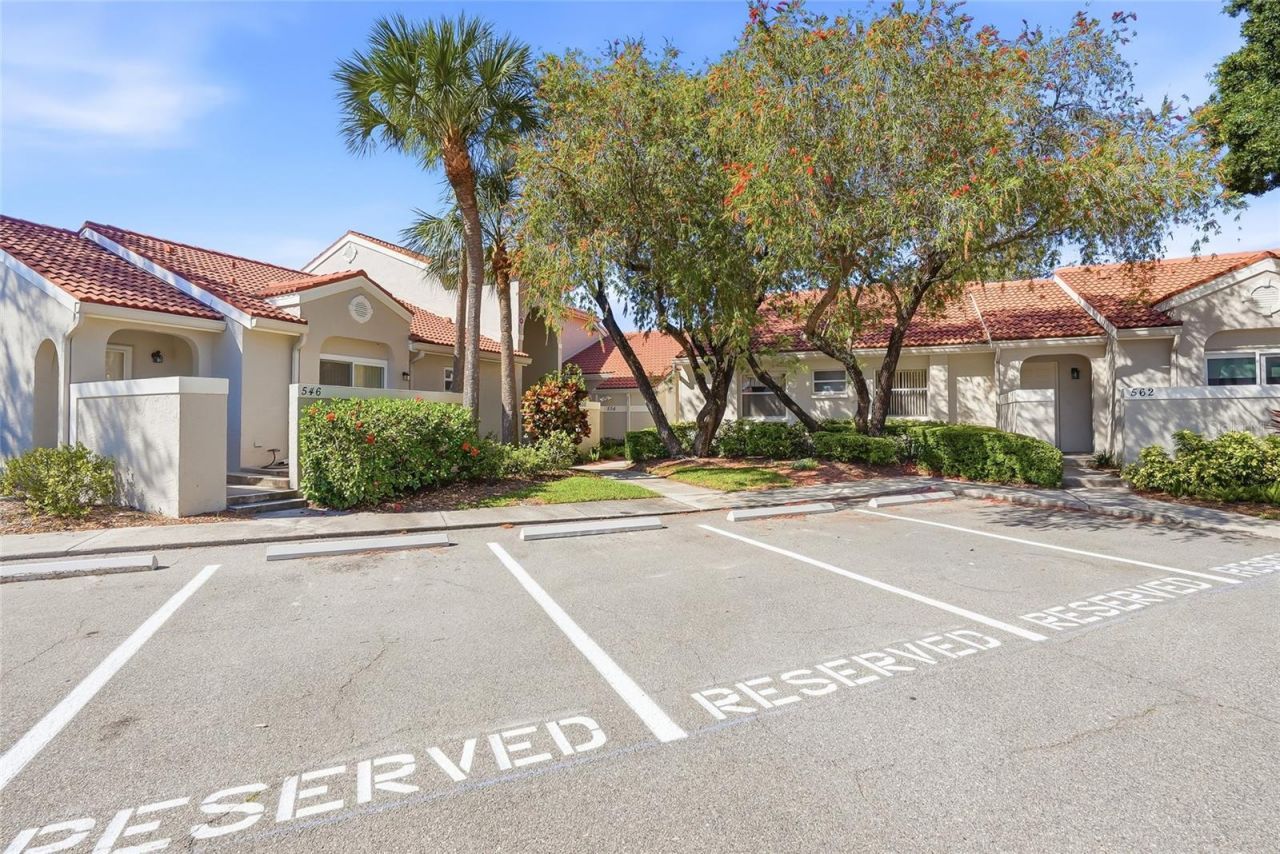 554 Andorra Circle Ne, Saint Petersburg, FL 33703 Photo