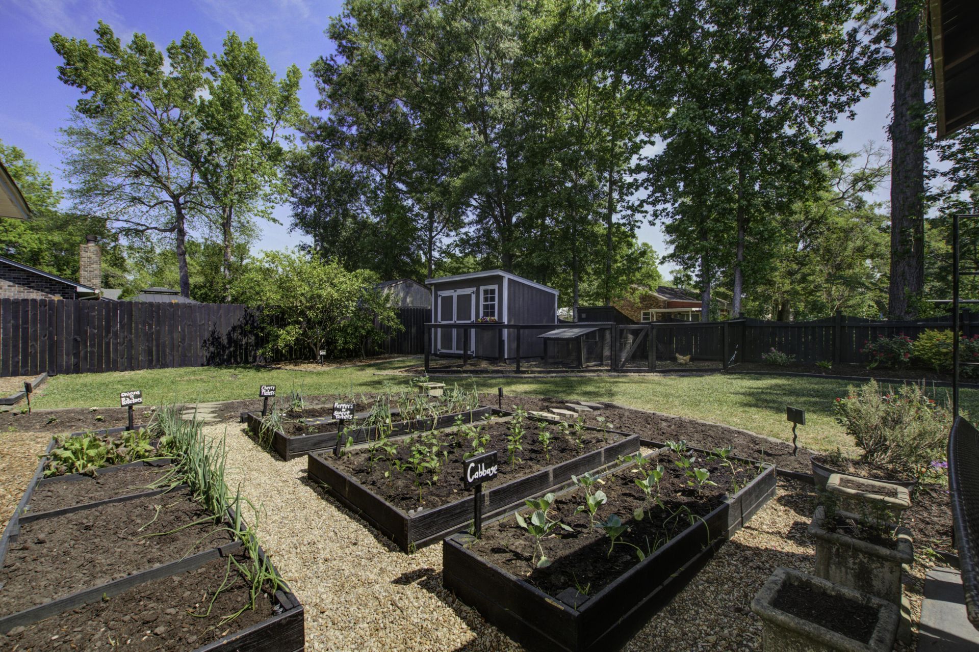 103 Elaine Street Photo 43