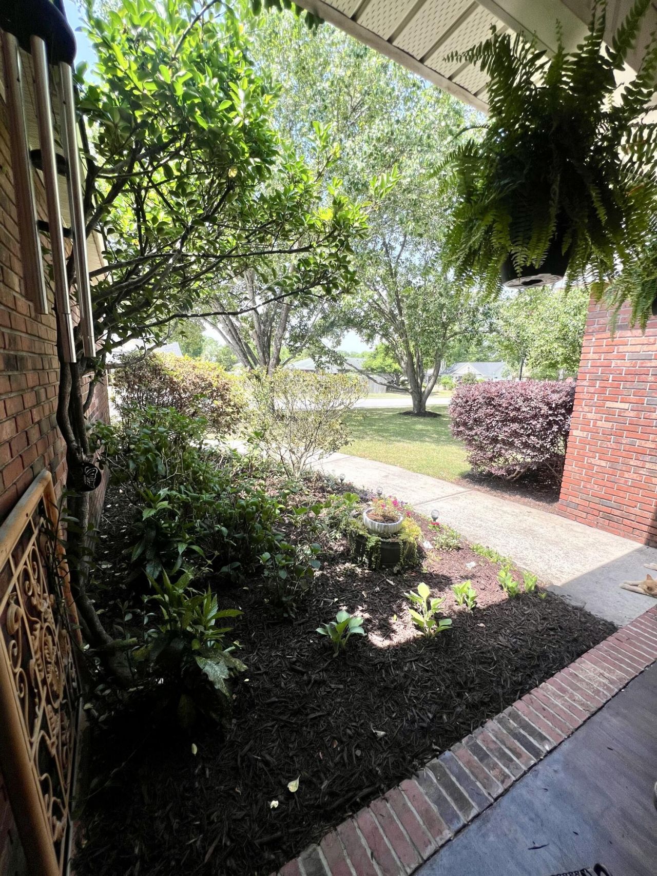 103 Elaine Street Photo 45