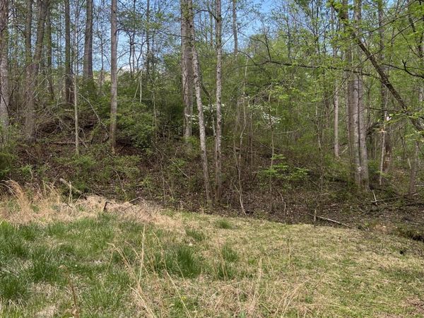 332 Terrace RD , Boones Mill, VA 24065