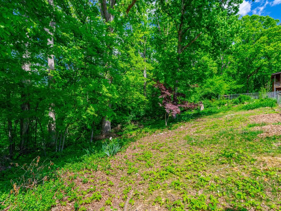 Property Image 63