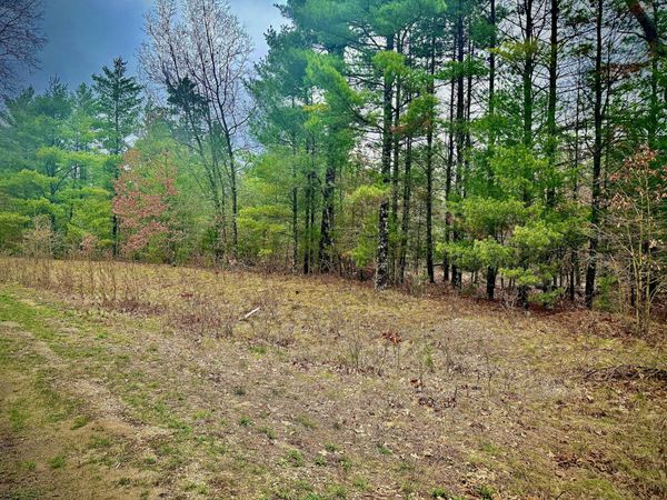 1242 Sydney Street, Unit 33, Whitehall, MI 49461