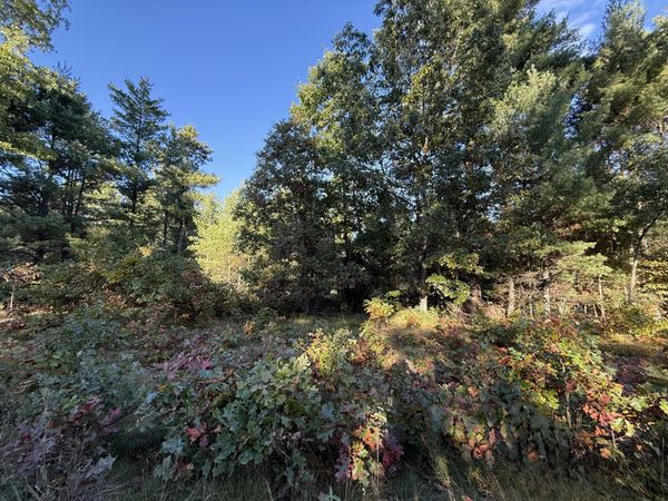 1242 Sydney Street, Unit 33, Whitehall, MI 49461