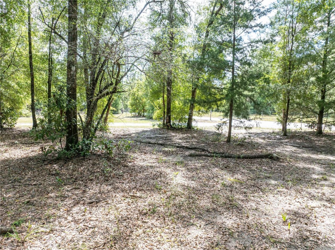 11160 NW 5th Avenue , Branford, FL 32008 Photo