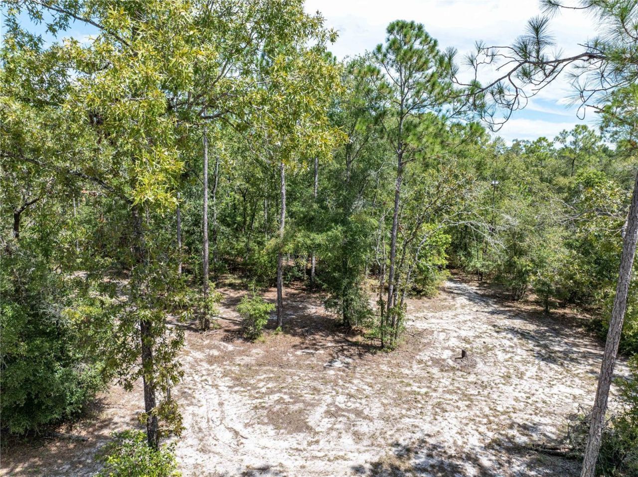 11160 NW 5th Avenue , Branford, FL 32008 Photo