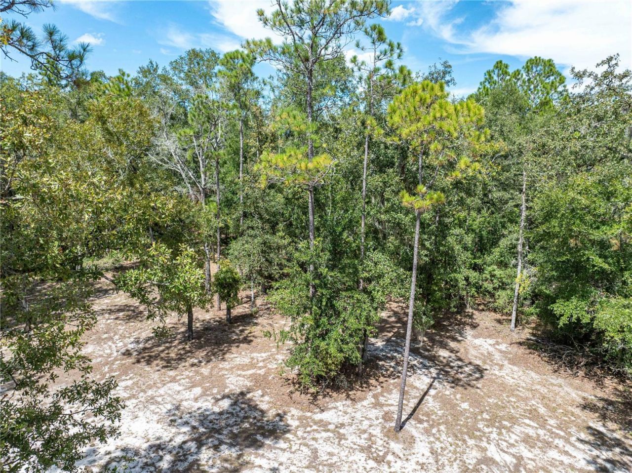 11160 NW 5th Avenue , Branford, FL 32008 Photo