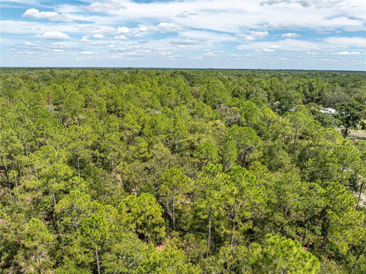 11160 NW 5th Avenue , Branford, FL 32008 Photo