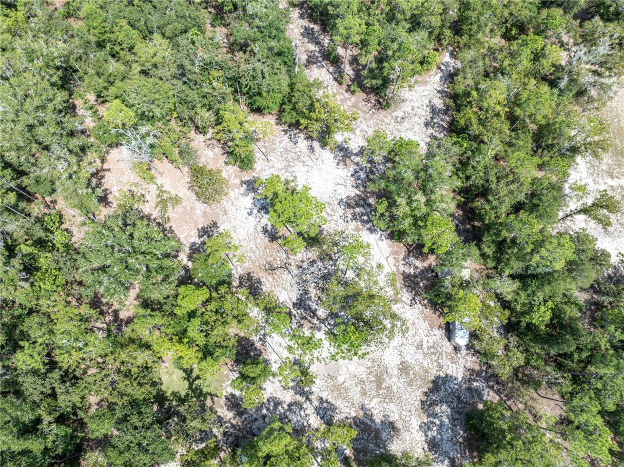 11160 NW 5th Avenue , Branford, FL 32008 Photo