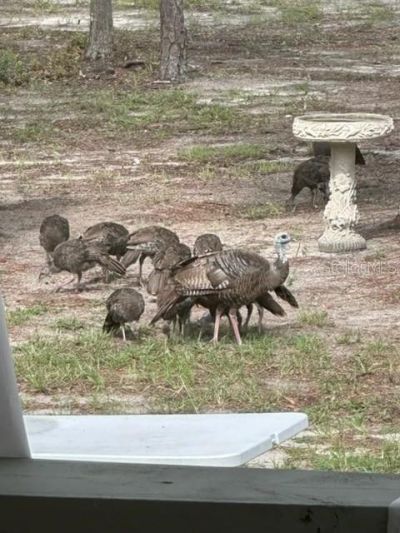 11160 NW 5th Avenue , Branford, FL 32008 Photo