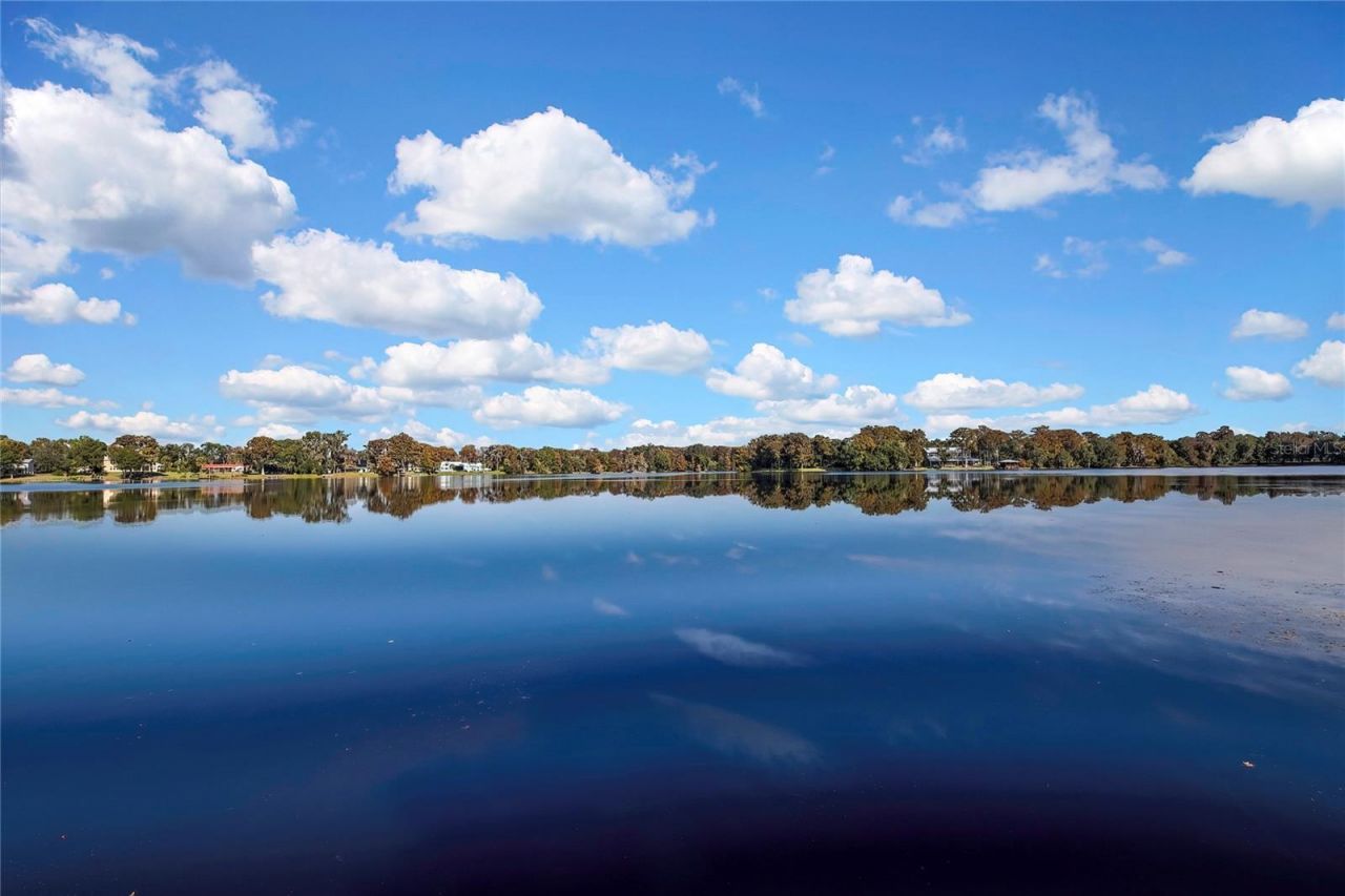 6670 S Merleing Loop , Floral City, FL 34436 Photo