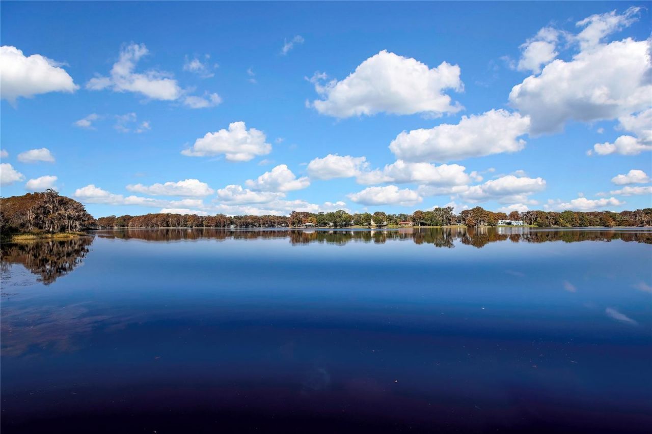 6670 S Merleing Loop , Floral City, FL 34436 Photo