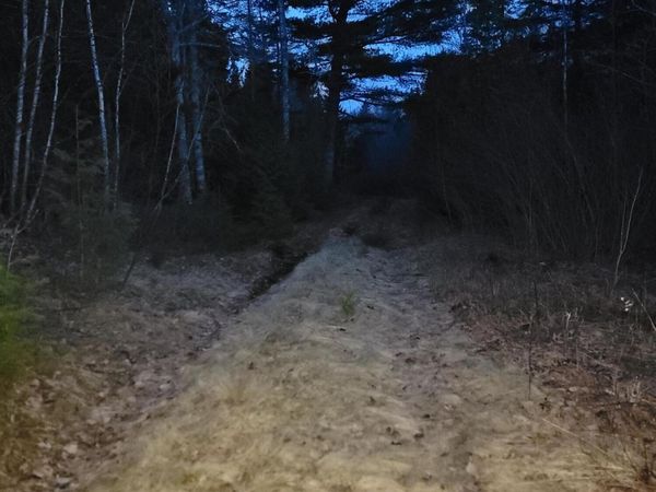 WA031 King Street , Marion Twp, ME 04628