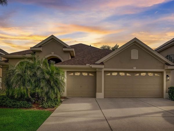 23338 DINHURST CT , LAND O LAKES, FL 34639