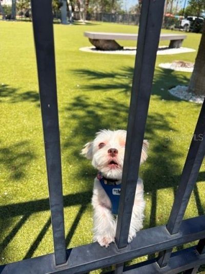 581 Rountree Drive, Longboat Key, FL 34228 Photo