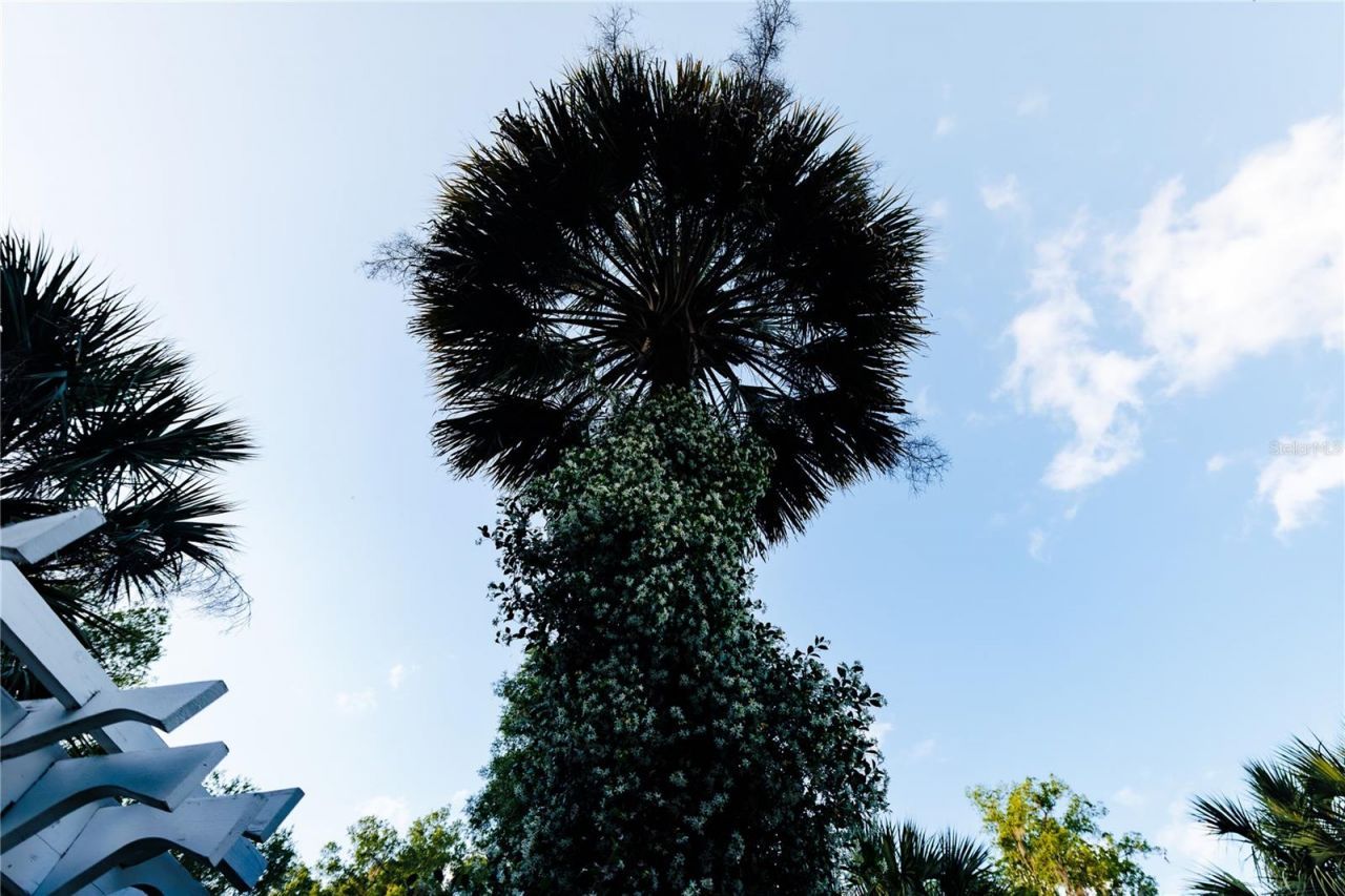 215 E French Avenue , Orange City, FL 32763 Photo