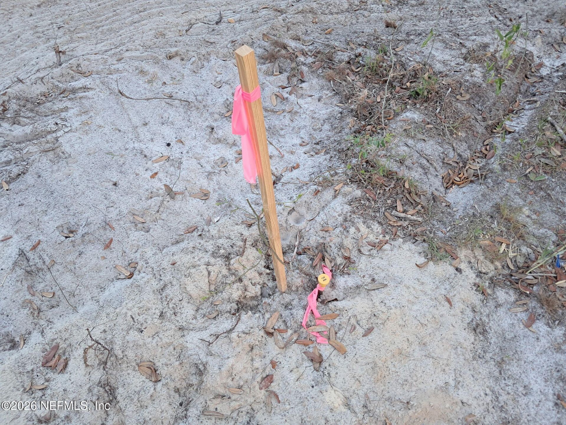 415 Pine Tree Drive, Hollister, FL 32147 Photo