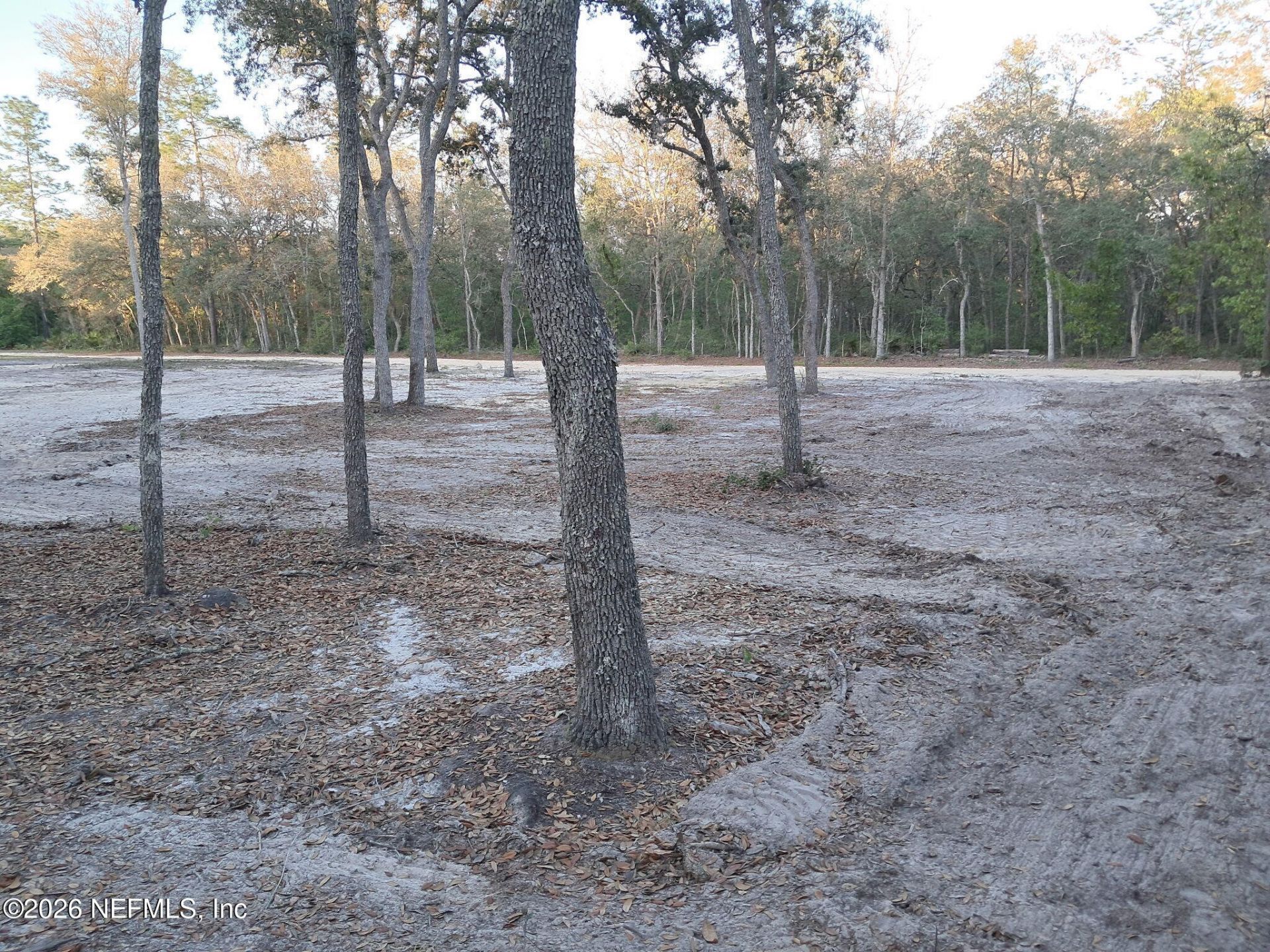 415 Pine Tree Drive, Hollister, FL 32147 Photo