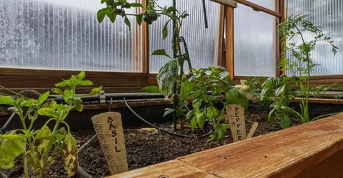 3601 Desert Fox Drive, Sparks, NV 89436 Photo