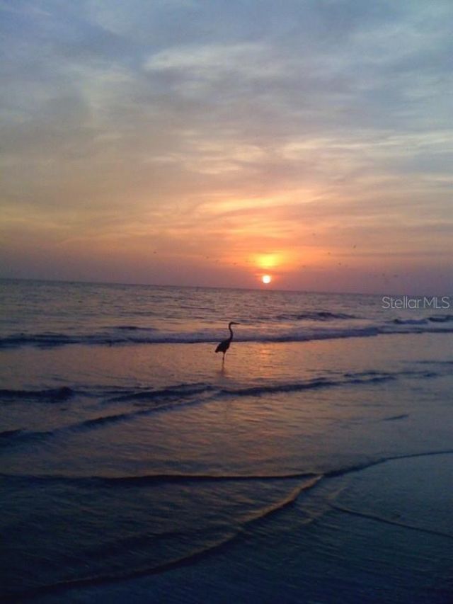 19020 Gulf Boulevard, Unit 8, Indian Shores, FL 33785 Photo