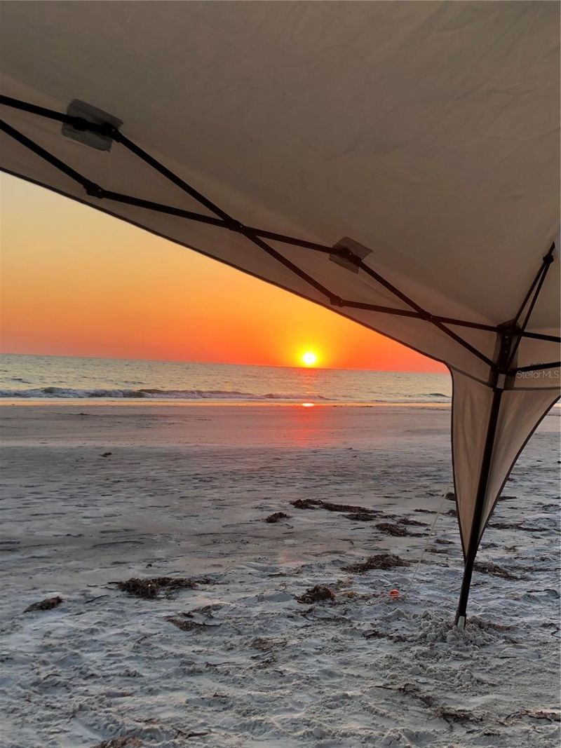 19020 Gulf Boulevard, Unit 8, Indian Shores, FL 33785 Photo