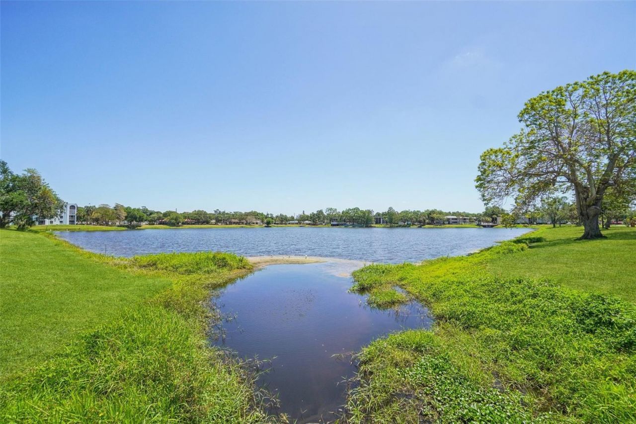 3850 13th Avenue N, Unit 210, Saint Petersburg, FL 33713 Photo