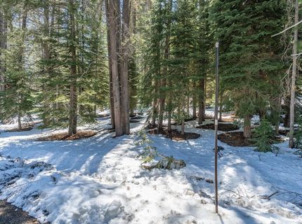 10489 E Alder Creek Road, Truckee, CA 96161 Photo