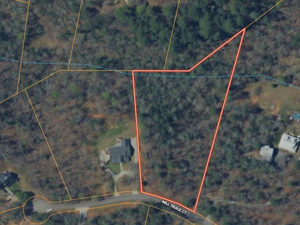 0 Mill Trace Court, Cleveland, GA 30528