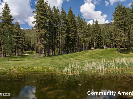 2147 The Back Road, Glenbrook, NV 89413 Photo