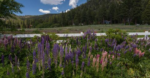 2147 The Back Road, Glenbrook, NV 89413 Photo