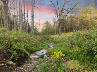 165 Pomeroyton-Wellington Road, Wellington, KY 40387