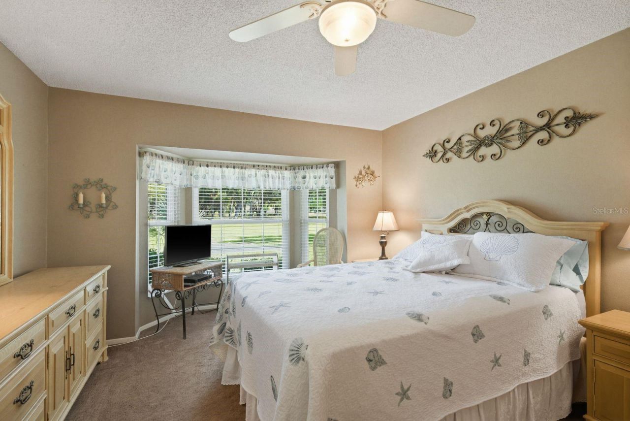 6542 Pine Walk Drive, New Port Richey, FL 34655 Photo