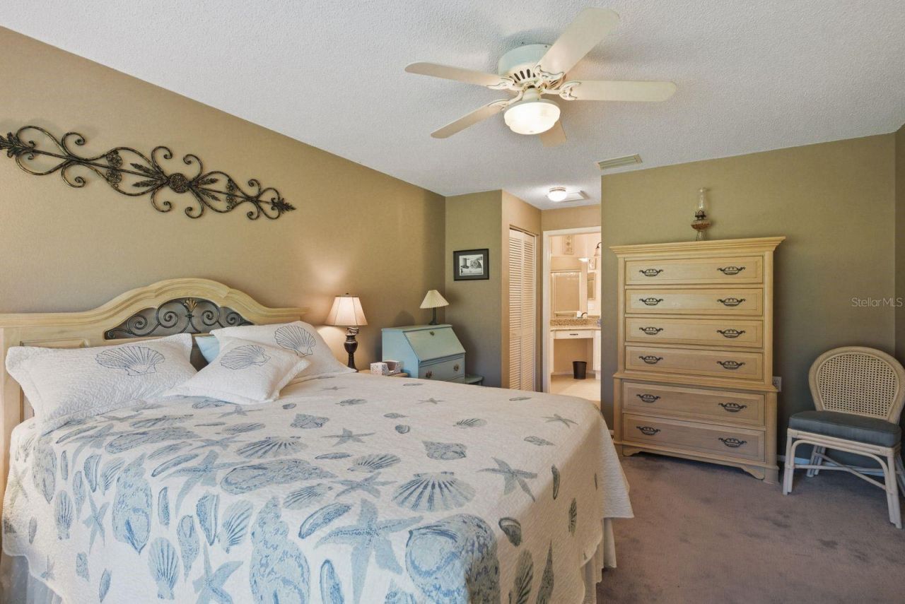 6542 Pine Walk Drive, New Port Richey, FL 34655 Photo