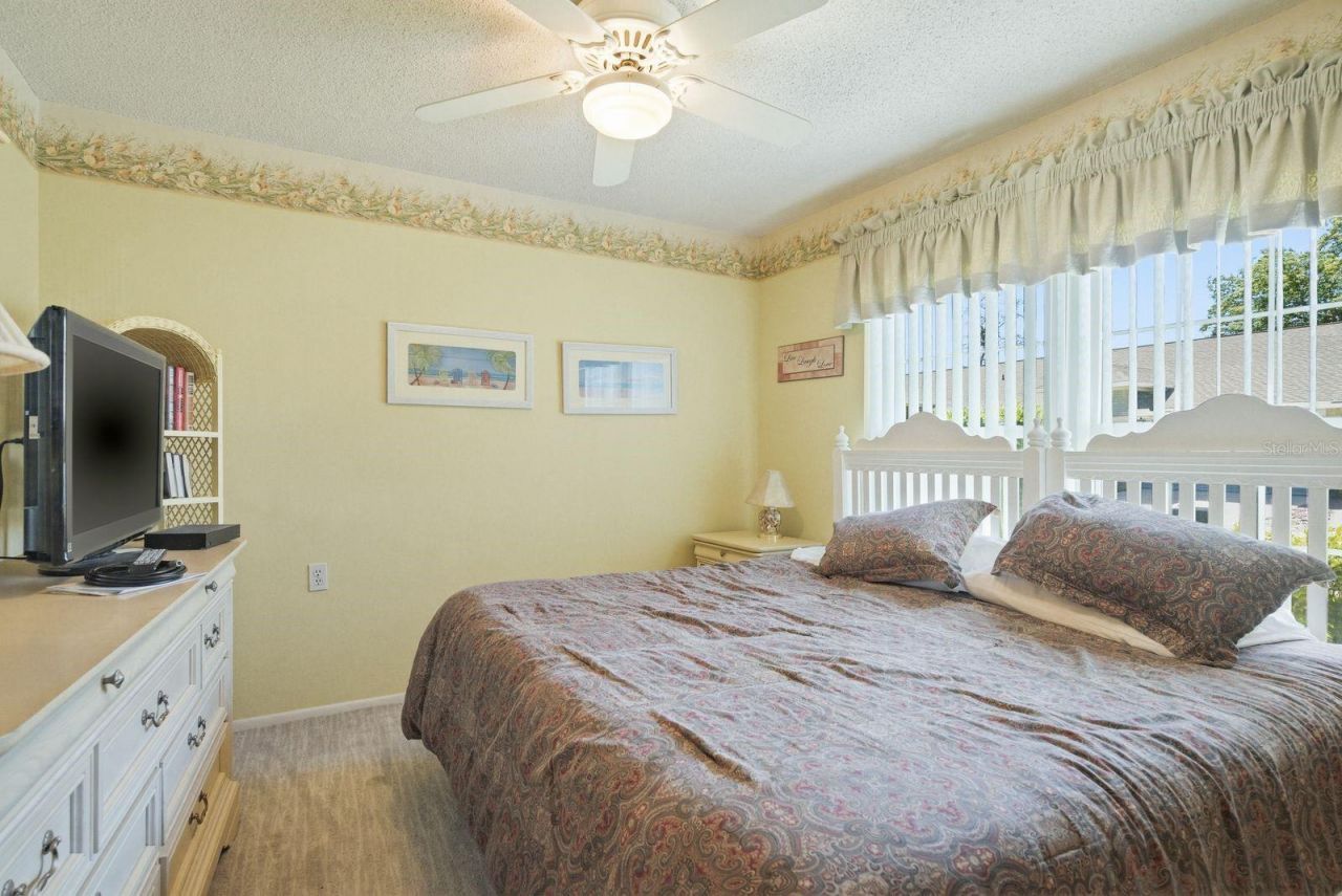 6542 Pine Walk Drive, New Port Richey, FL 34655 Photo