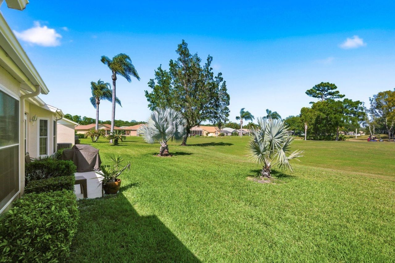 6542 Pine Walk Drive, New Port Richey, FL 34655 Photo